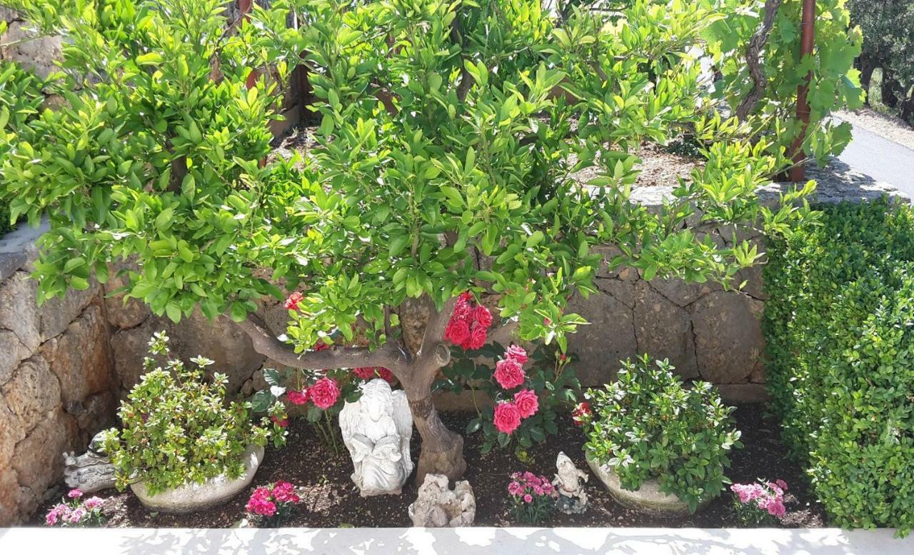 Guest House Fenix Brela Exterior photo